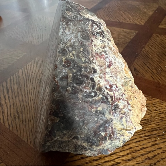 Rare Petrified Palm Root Fossil Stone California Home Decor Display Rock - Picture 2 of 15